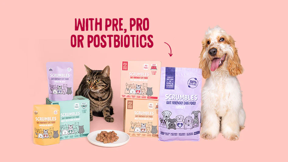 Healthy Tummies, Happy Pets
