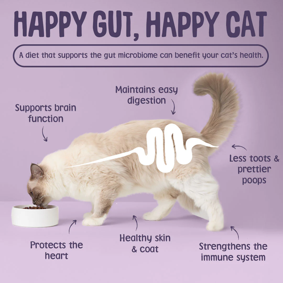 Krunchies: Calming Cat Treats - Image 7