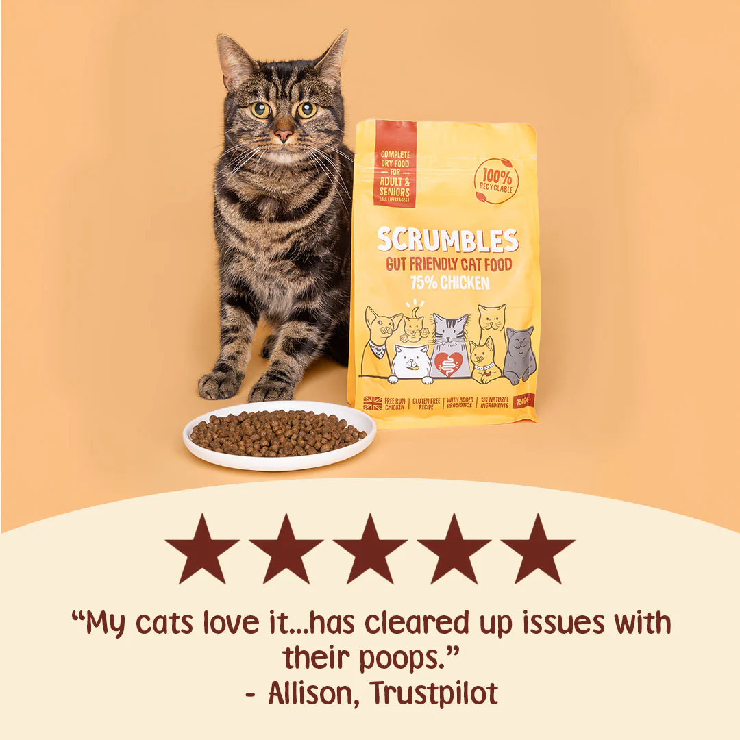 Chicken Dry Cat Food - Image 3