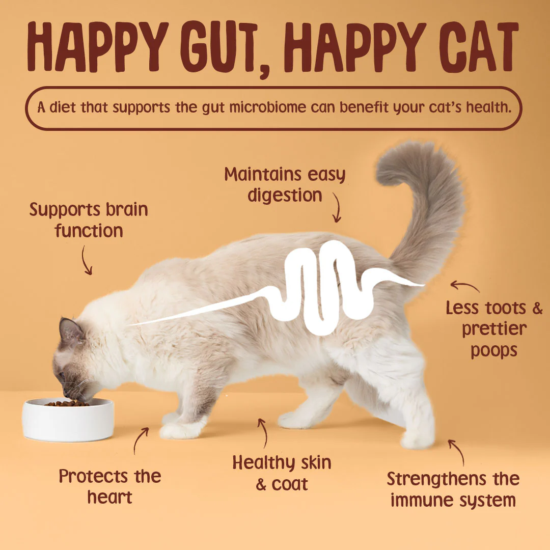 Chicken Dry Cat Food - Image 8