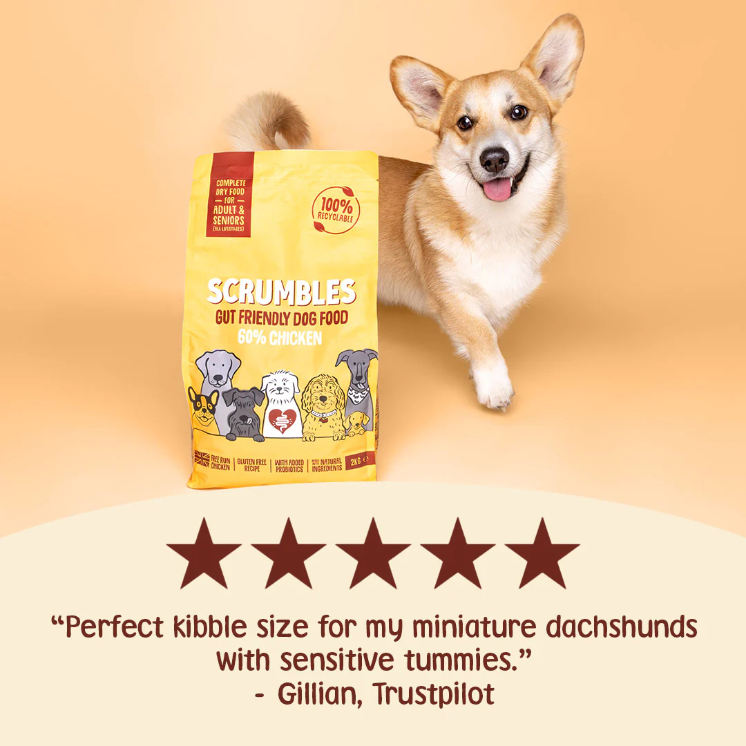 Chicken Dry Dog Food - Image 3