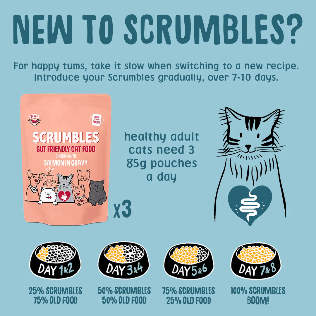 Grain Free Fish in Gravy Cat Food Pouches - Image 6