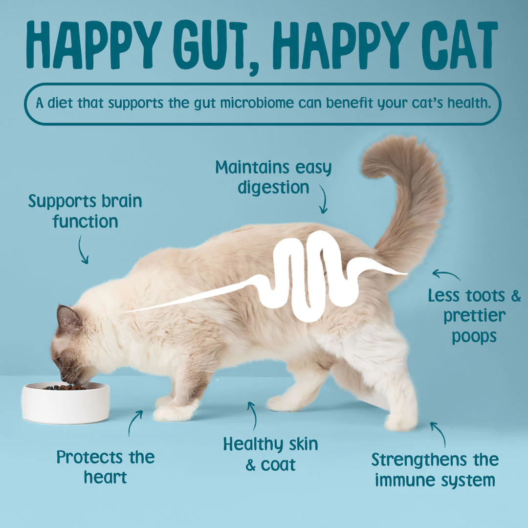 Krunchies: Cat Dental Treats - Image 7