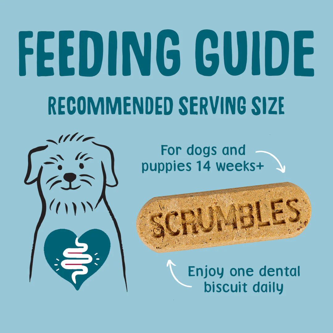 Gnashers: Dental Sticks for Dogs - Image 6