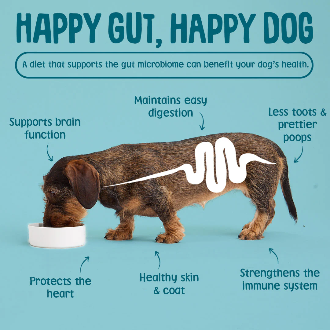 Gnashers: Dental Sticks for Dogs - Image 7