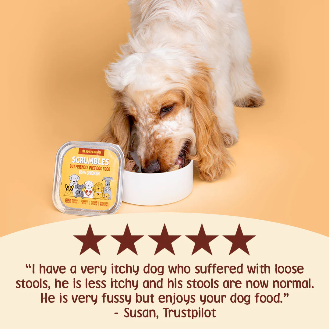 Chicken Wet Dog Food 150g - Image 3
