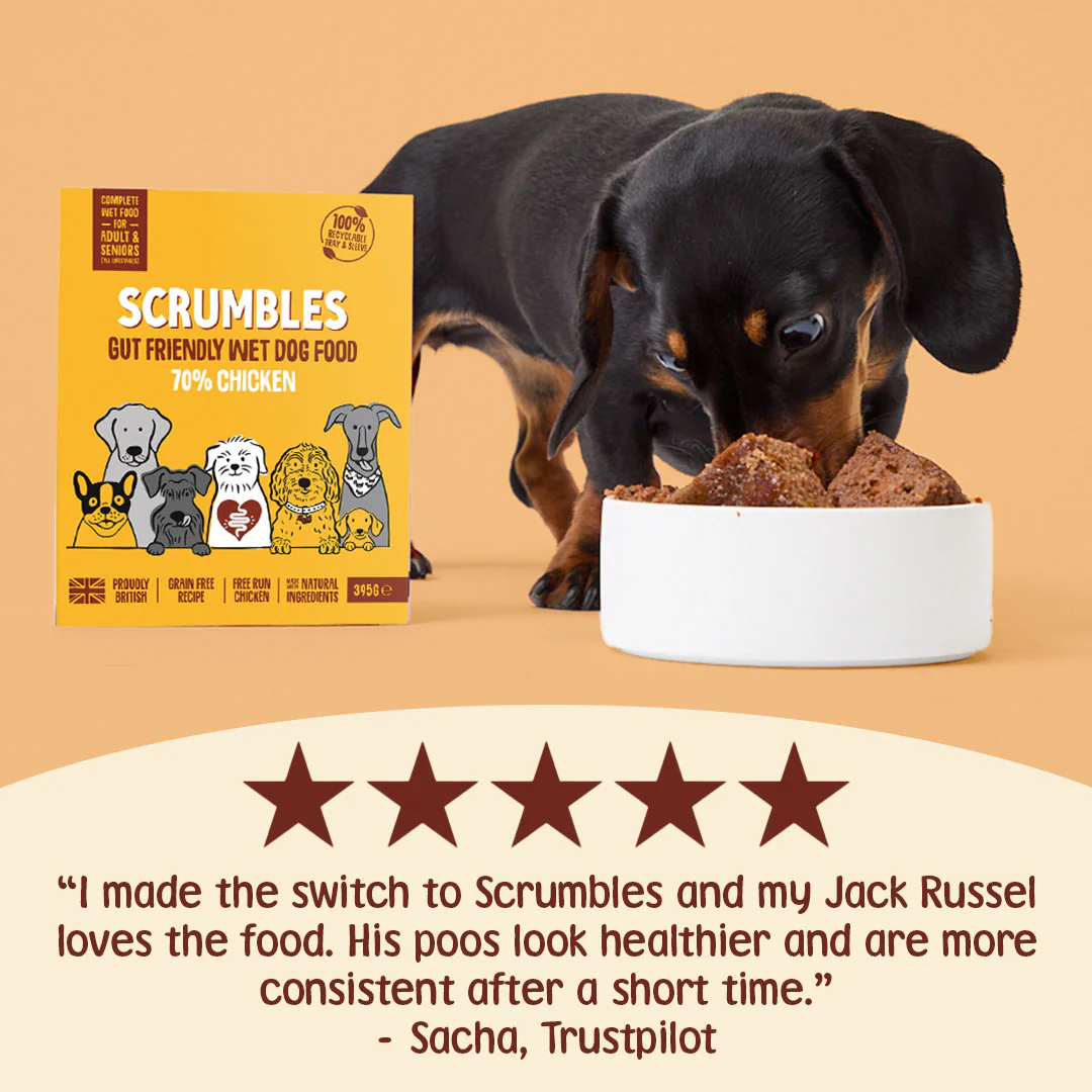 Grain Free Chicken Wet Dog Food (395g) - Image 3