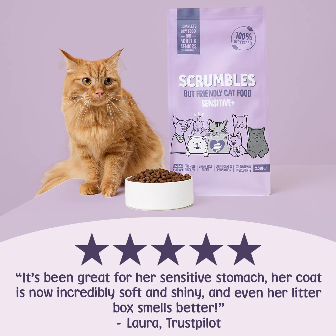 Sensitive+ Grain Free Dry Cat Food - Image 3