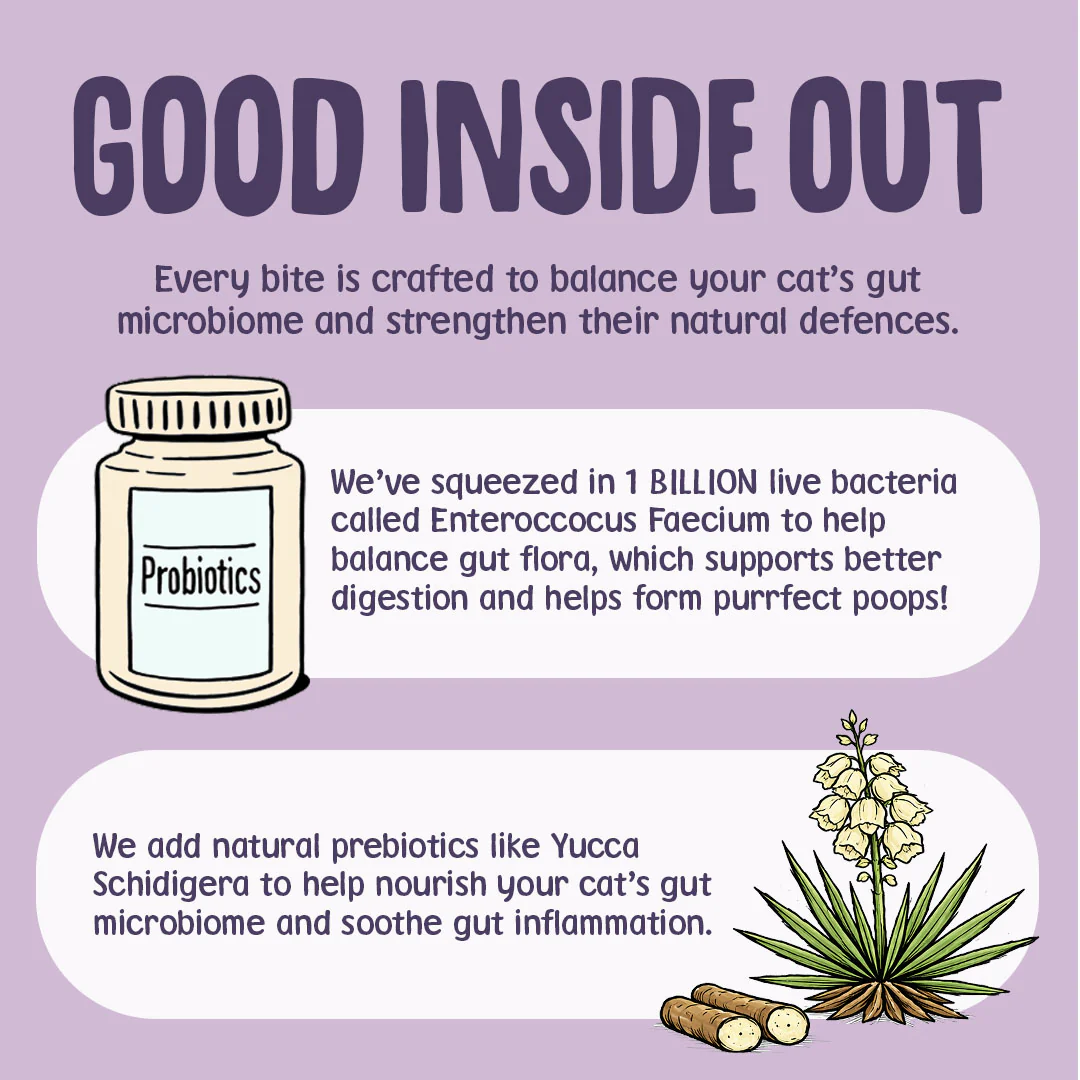 Sensitive+ Grain Free Dry Cat Food - Image 5