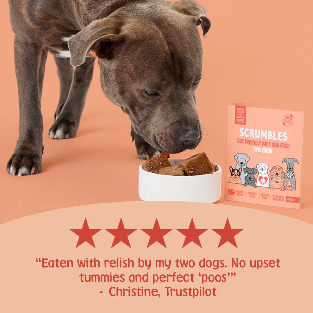 Grain Free Duck Wet Dog Food (395g) - Image 3
