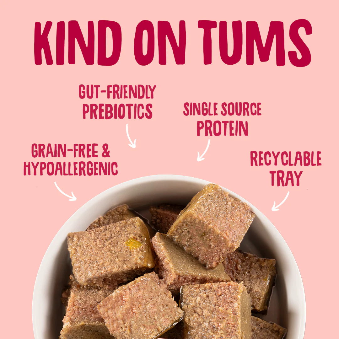 Grain Free Salmon Wet Dog Food (395g) - Image 4