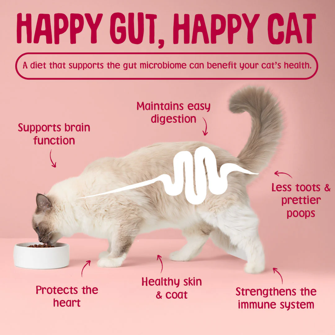 Krunchies: Anti-Hairball Cat Treats - Image 7