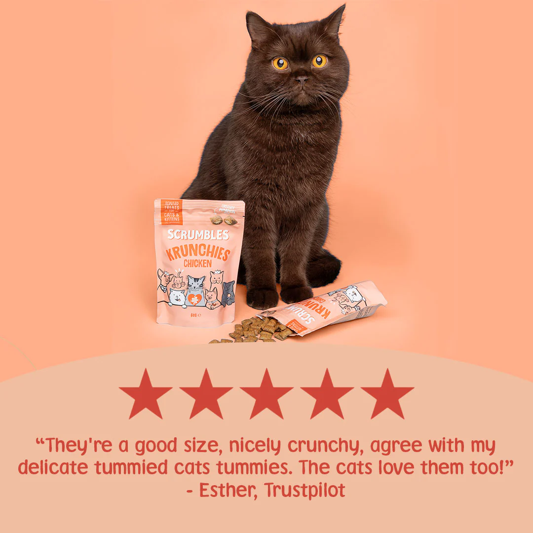 Krunchies: Chicken Pillow Cat Treats - Image 3