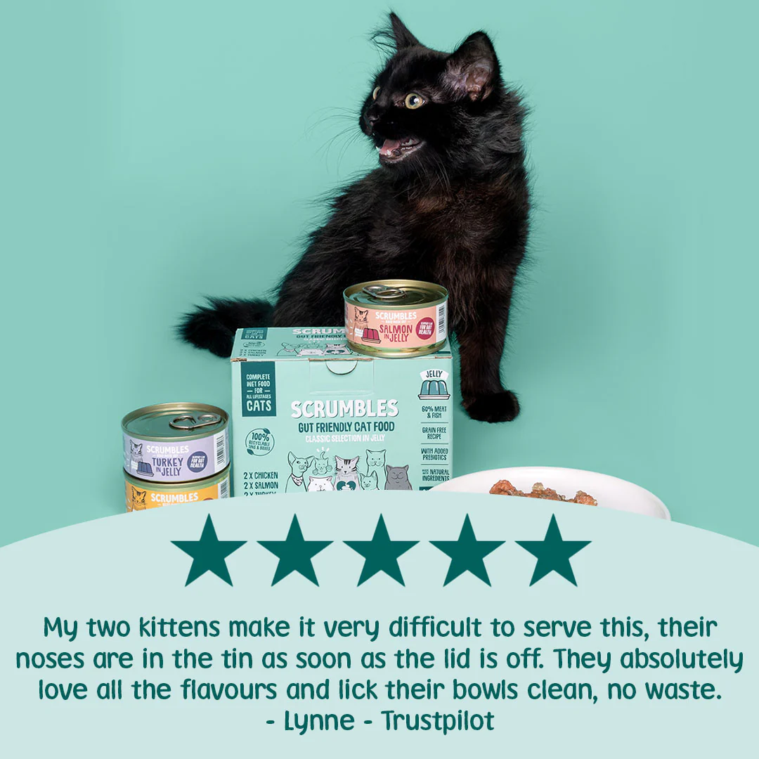 Poultry & Fish Jelly Wet Cat Food Tins - Image 3
