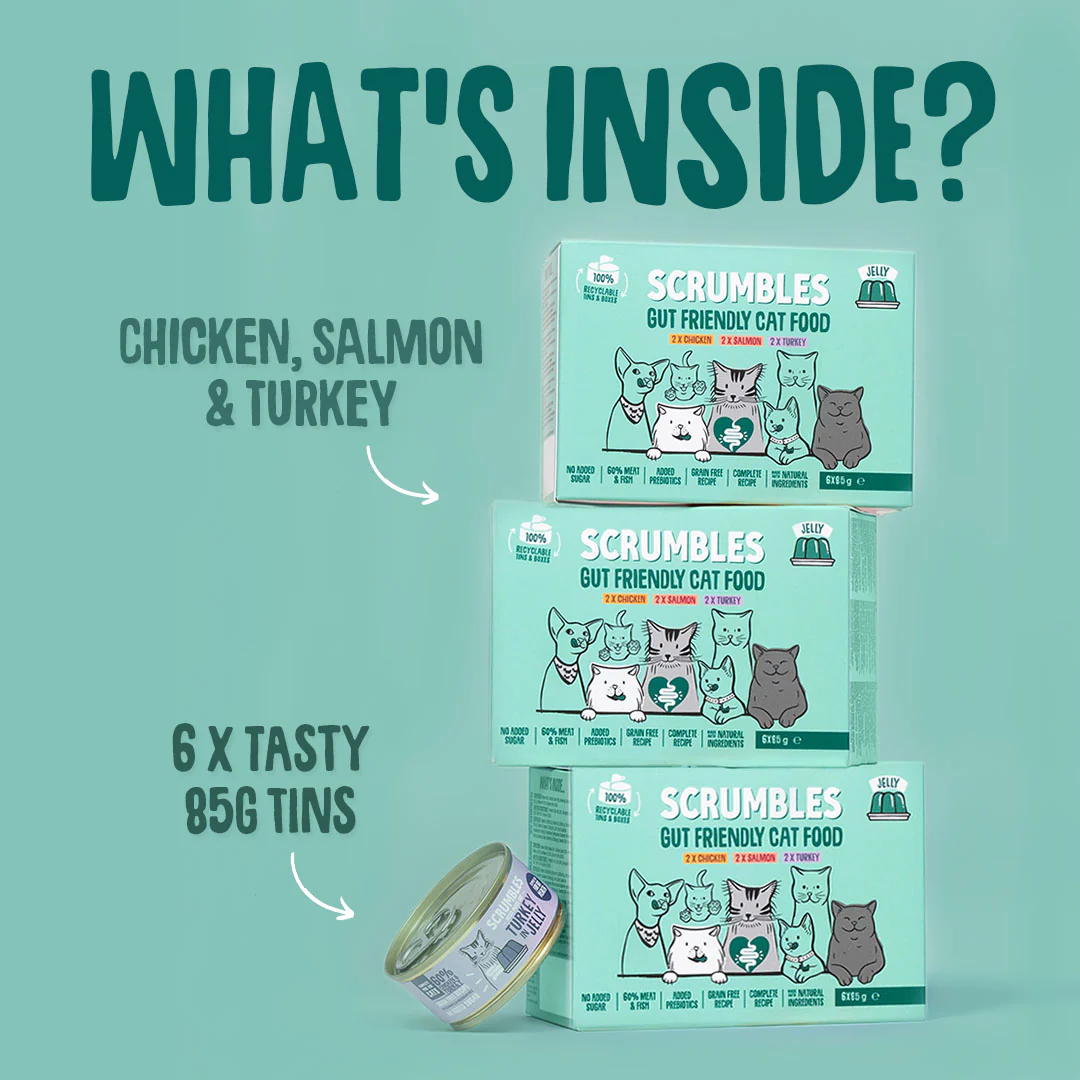 Poultry & Fish Jelly Wet Cat Food Tins - Image 6