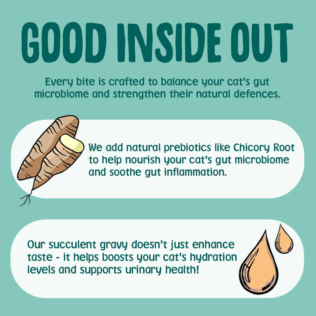 Grain Free Gravy Cat Food Pouches - Image 5