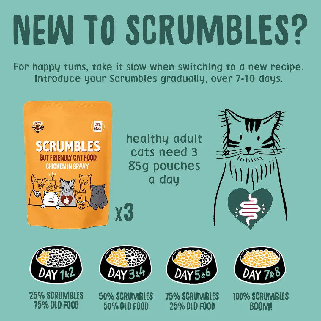 Grain Free Gravy Cat Food Pouches - Image 8
