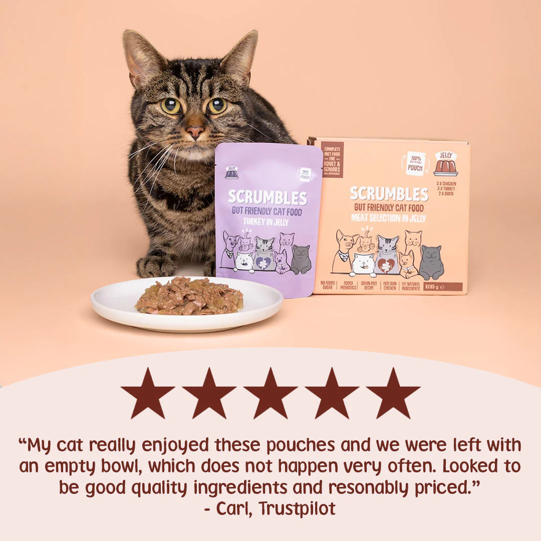 Poultry in Jelly Cat Food Pouches - Image 3