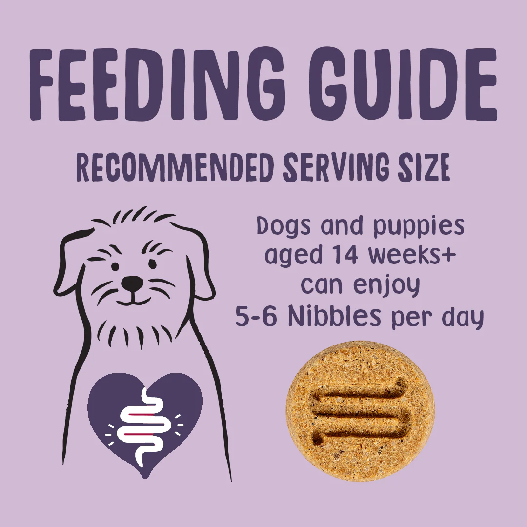 Nibbles: Dog Calming Treats - Image 6