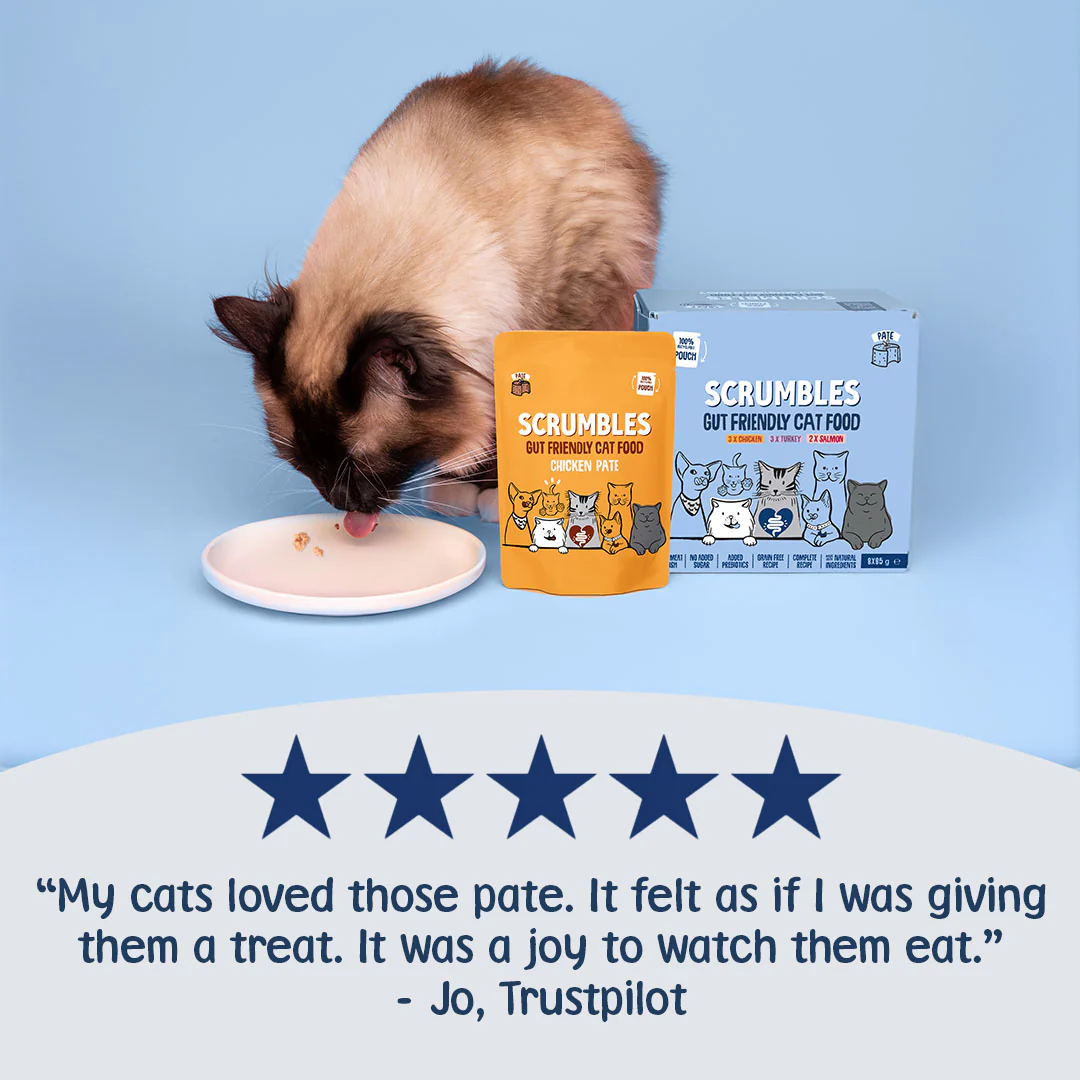 Pâté Cat Food Pouches - Image 3