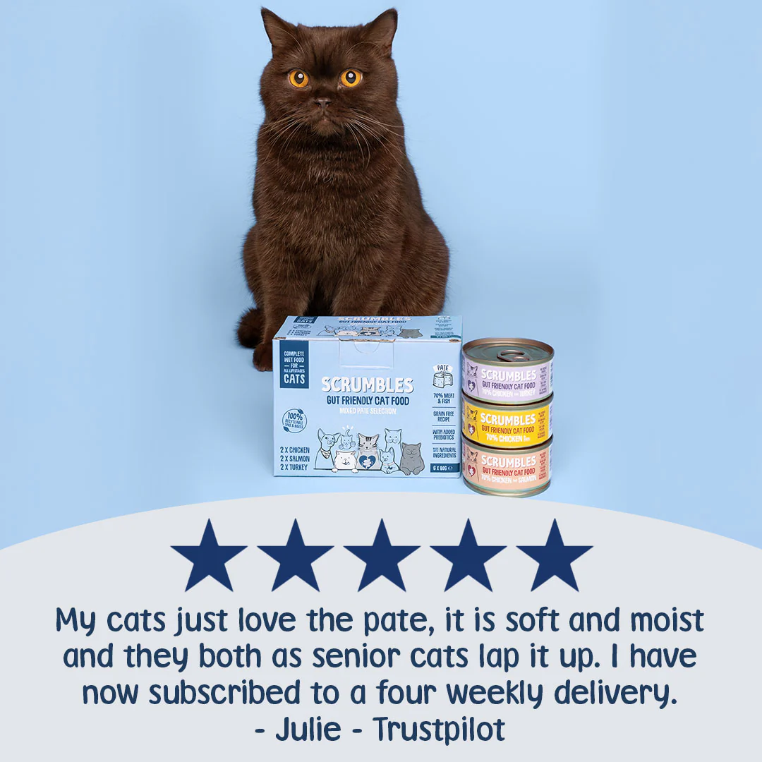 Pâté Cat Food Selection Tins - Image 3