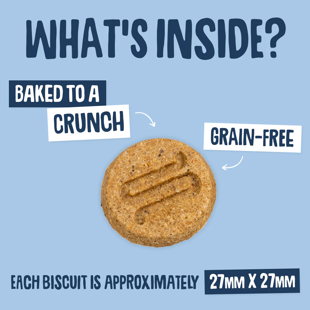 Postbiotic Nibbles Dog Treats - Image 5