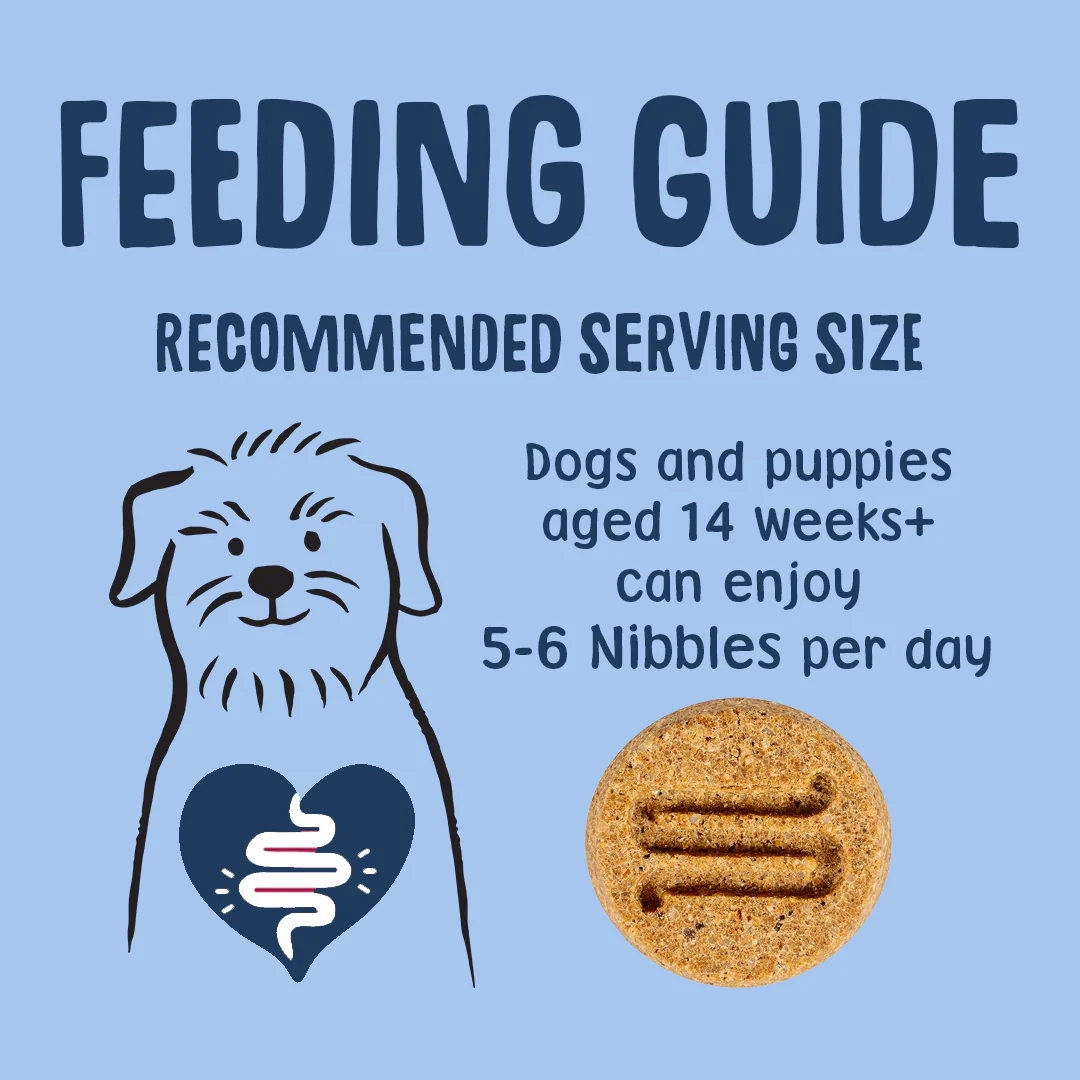 Postbiotic Nibbles Dog Treats - Image 7