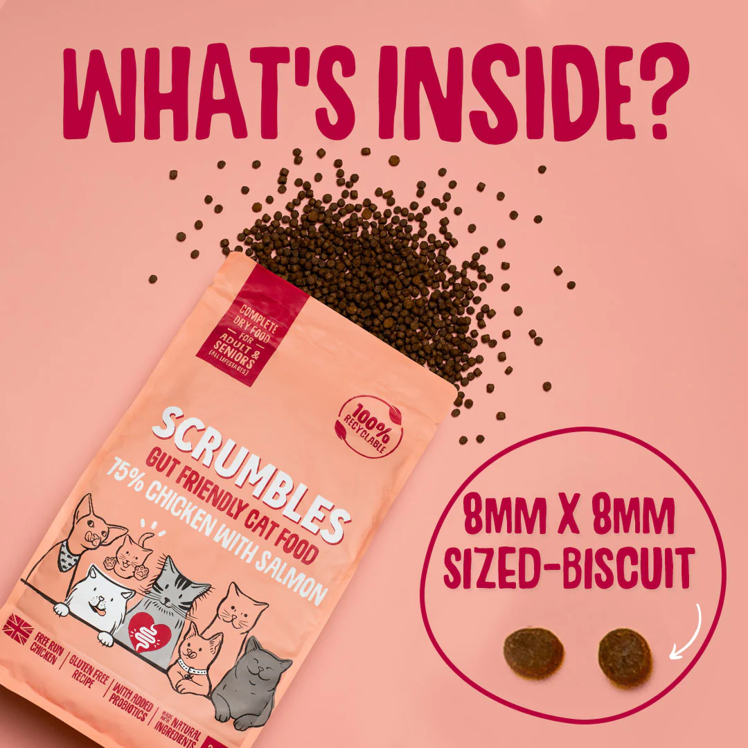 Salmon Dry Cat Food - Image 6
