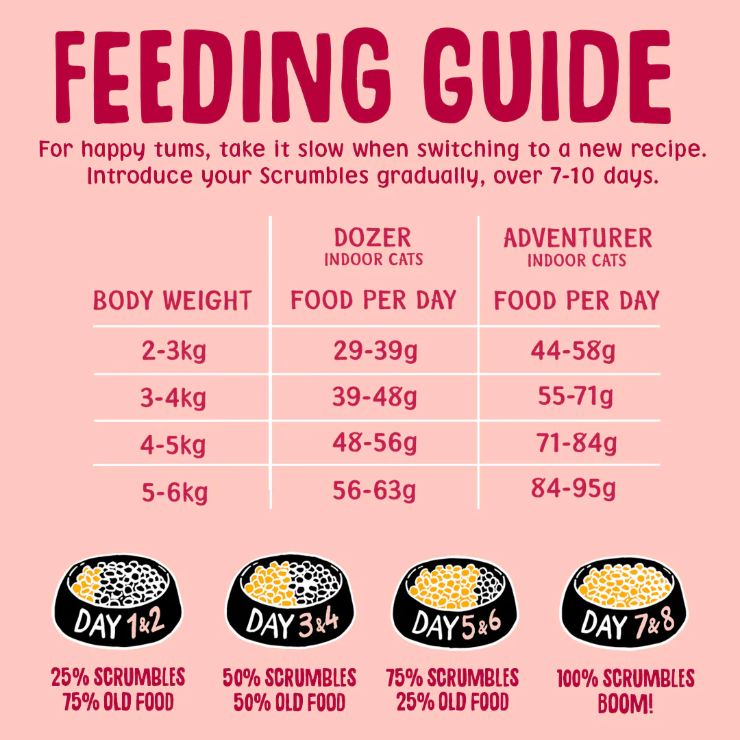 Salmon Dry Cat Food - Image 7