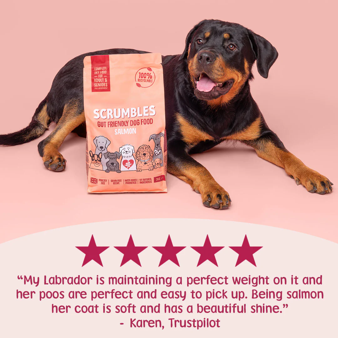 Salmon Dry Dog Food - Image 3