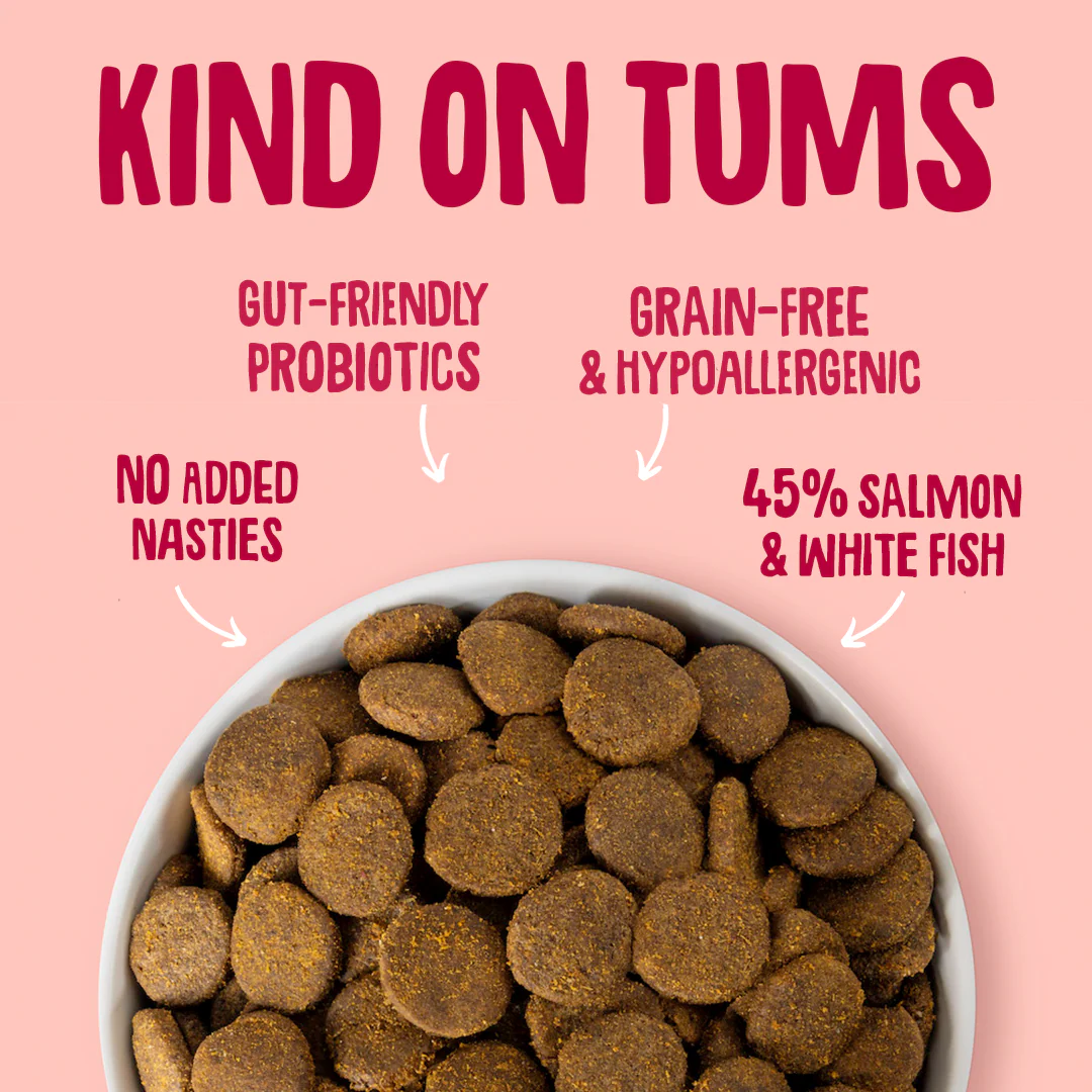 Salmon Dry Dog Food - Image 4