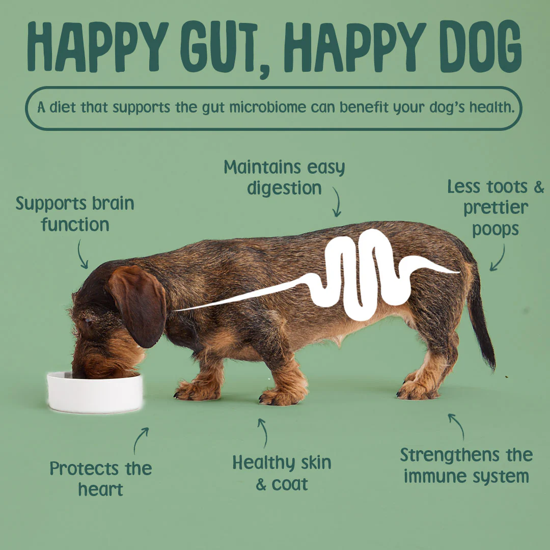 Softies: Vegetarian Dog Training Treats - Image 6