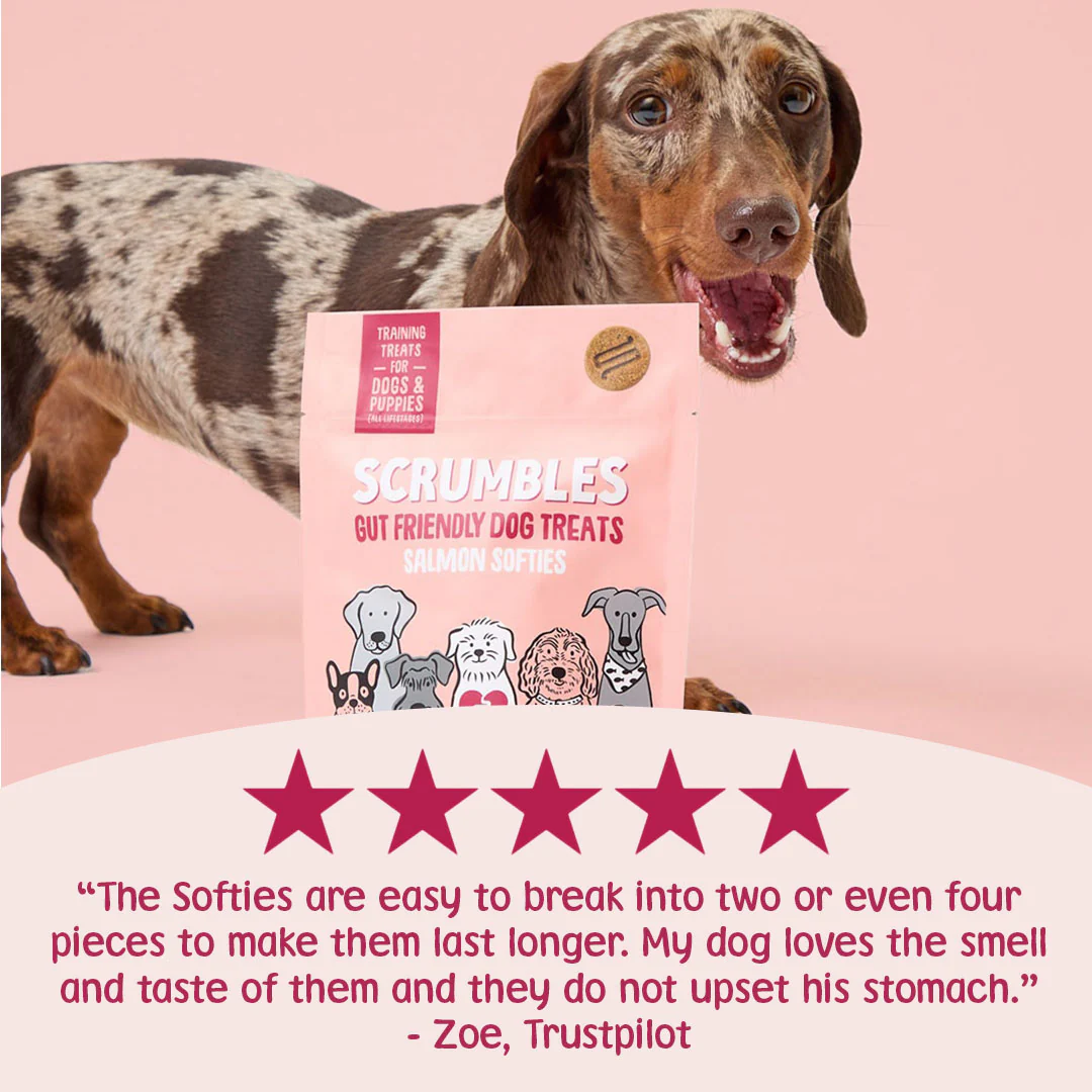 Softies: Salmon Dog Treats - Image 3