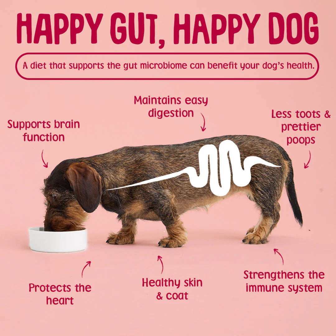 Softies: Salmon Dog Treats - Image 7